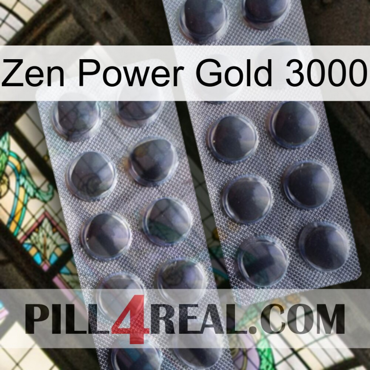 Zen Power Gold 3000 31